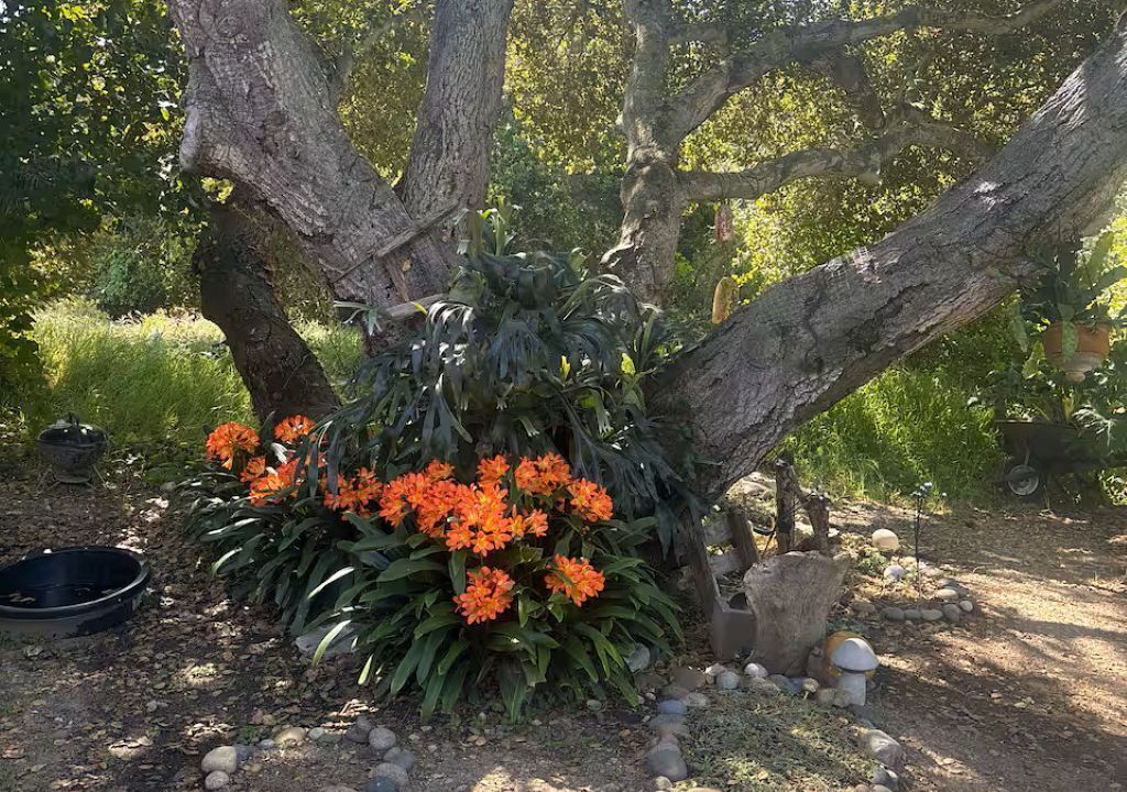 Photo of Outdoor in Salinas