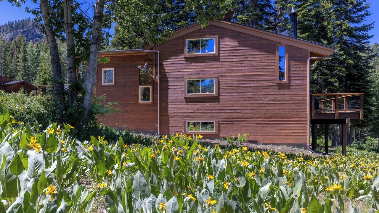 Photo of Outdoor in Alpine Meadows