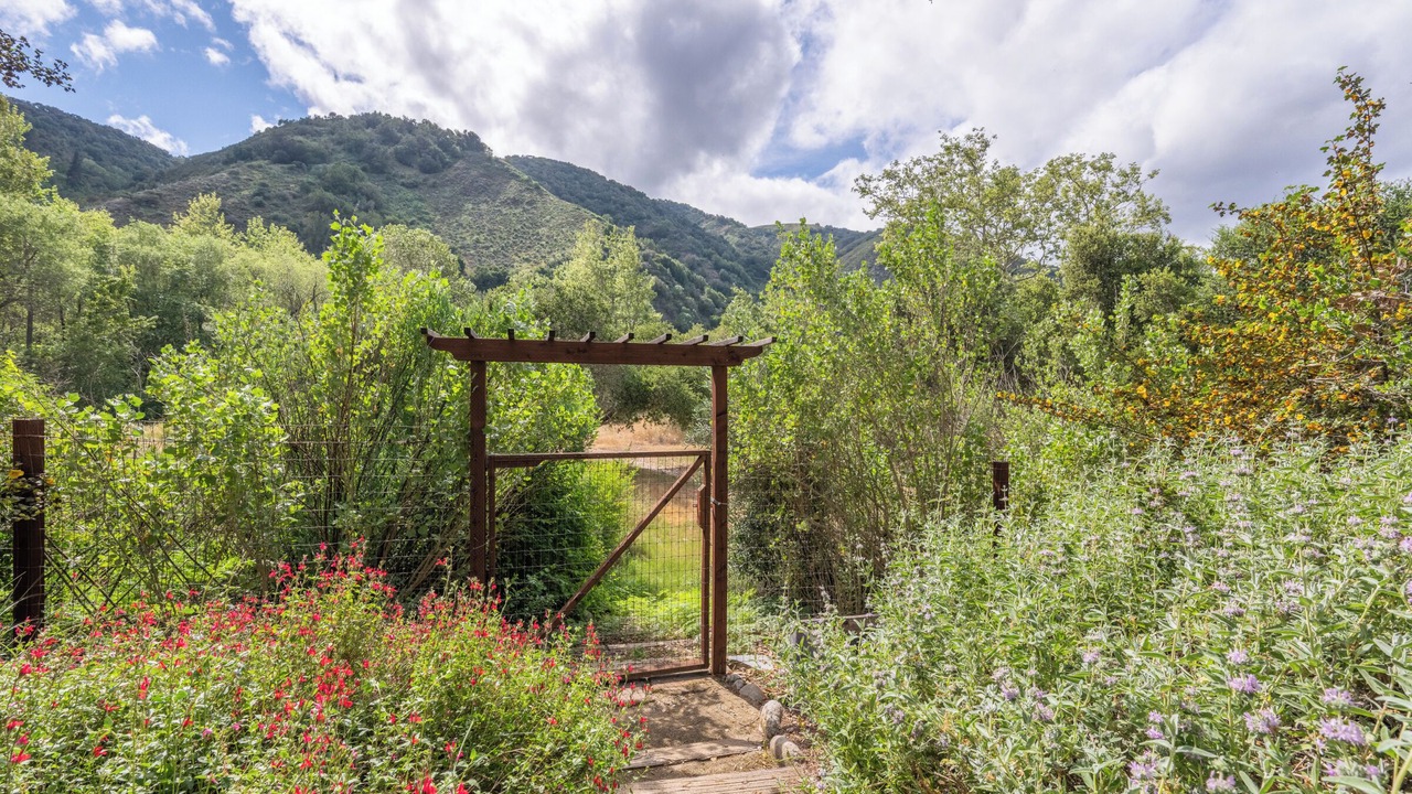 Photo of Outdoor in Carmel Valley
