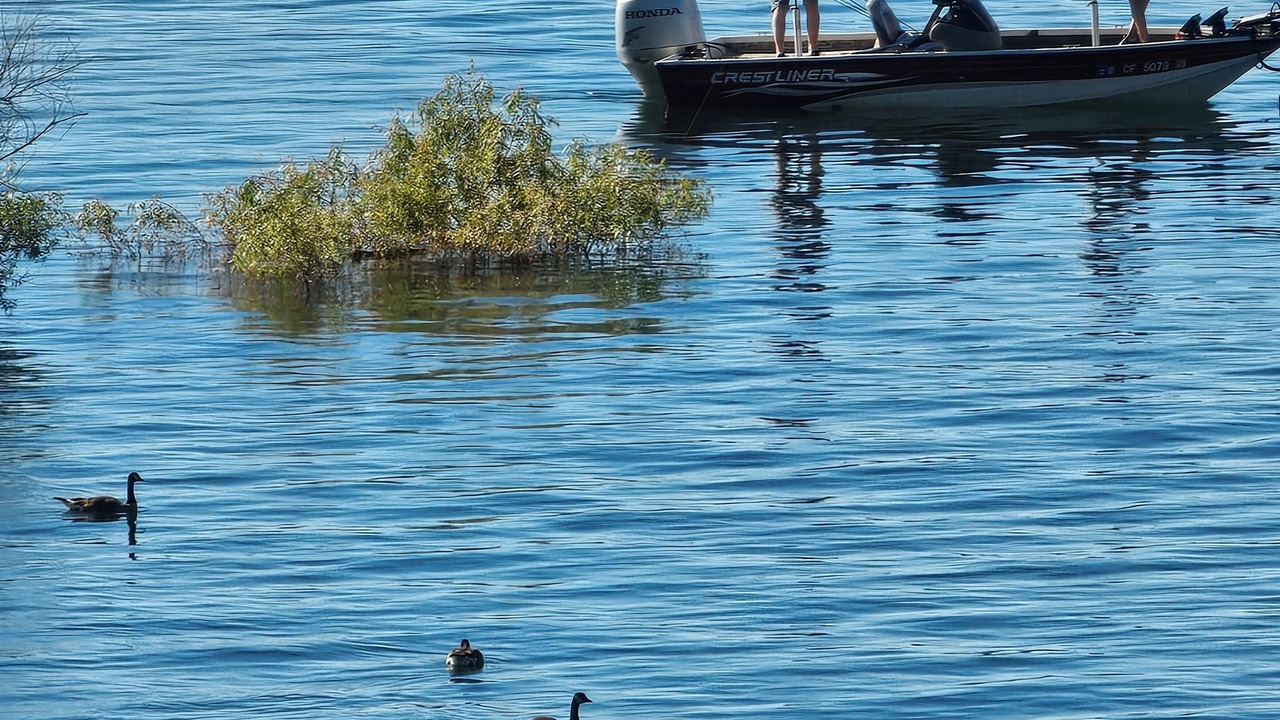 Photo of Others in Granite Bay