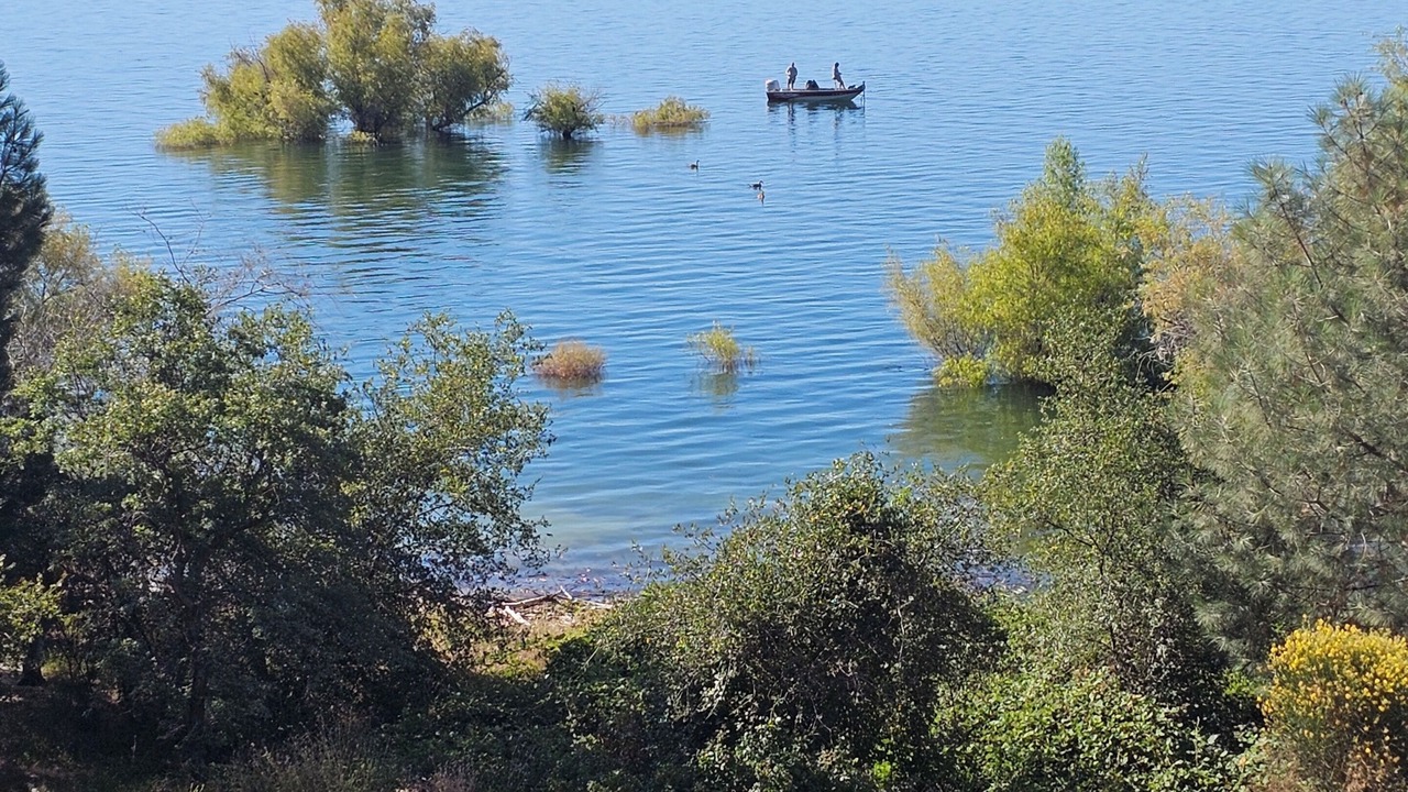 Photo of Others in Granite Bay