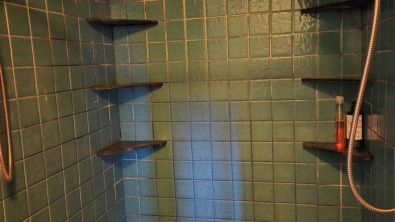 Photo of Bathroom in Western