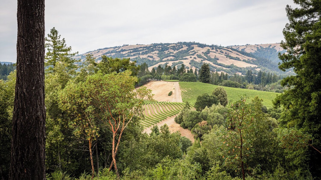 Photo of Others in Anderson Valley