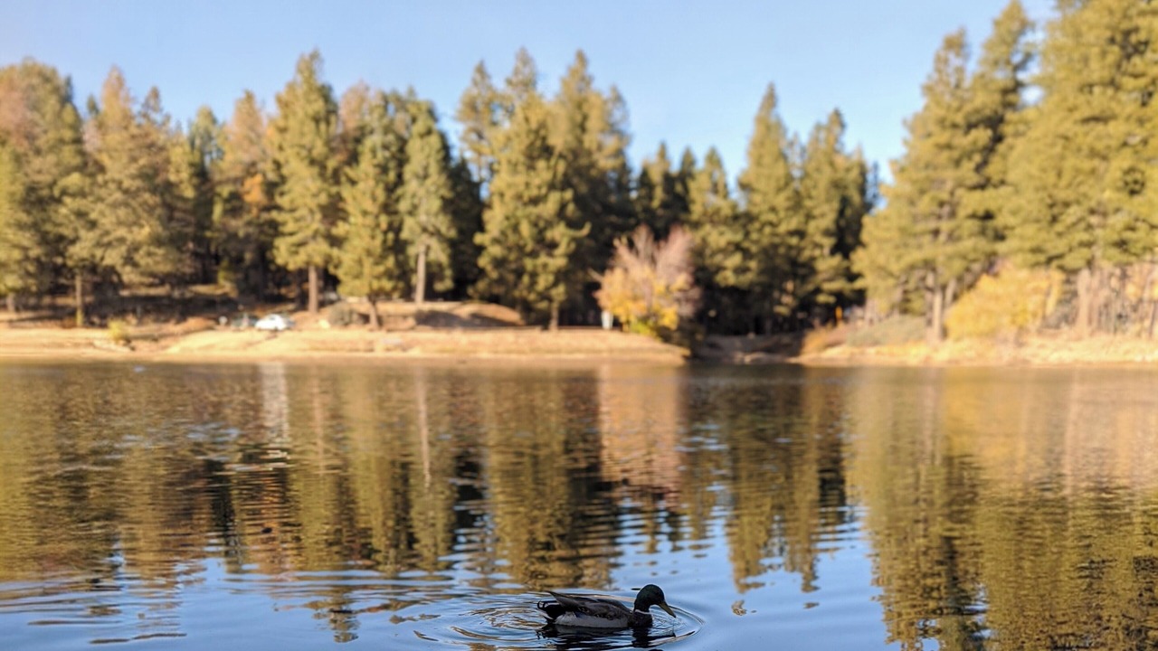 Photo of Others in Green Valley Lake