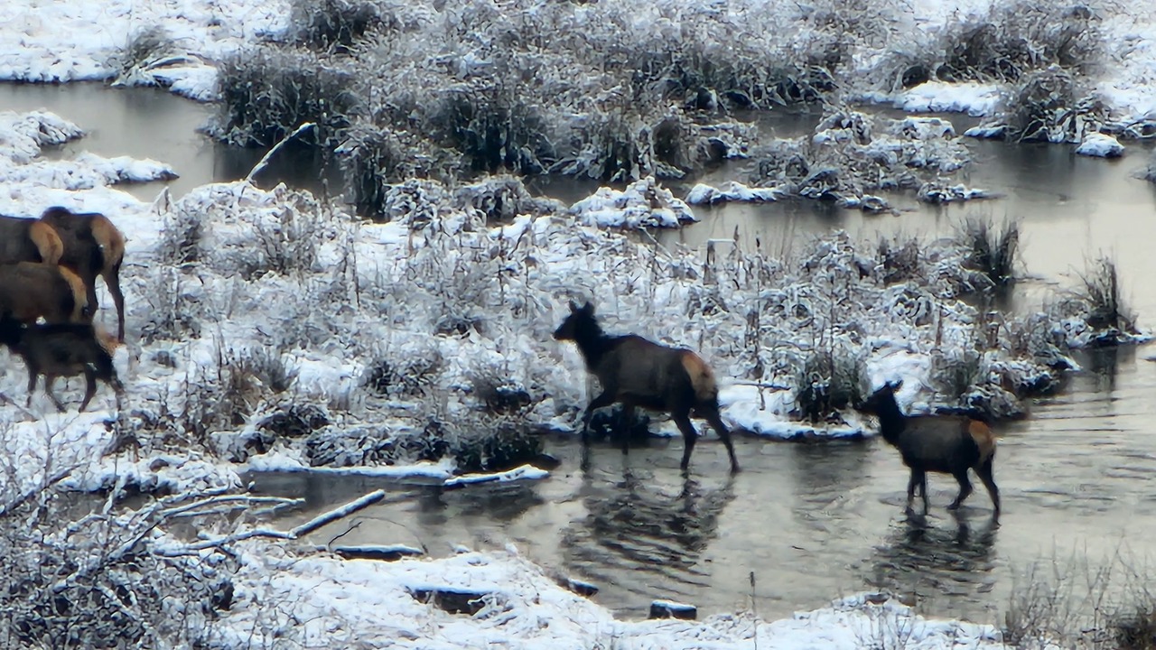 Photo of Others in Thurston