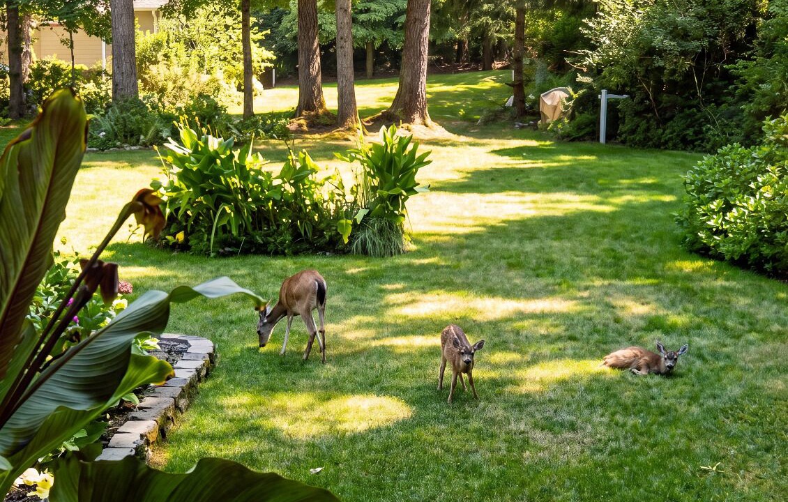 Photo of Outdoor in Coos Bay