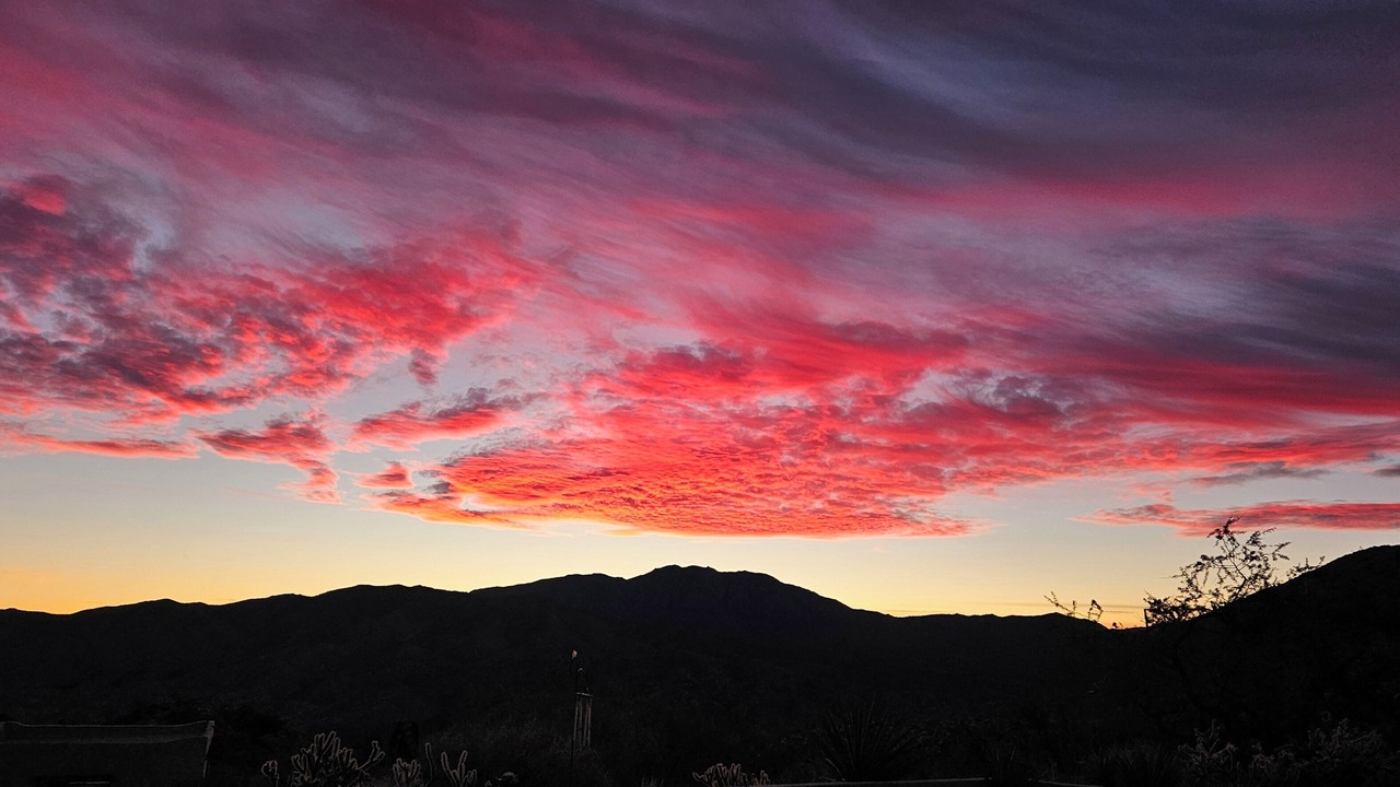 Photo of Others in Pinyon Crest