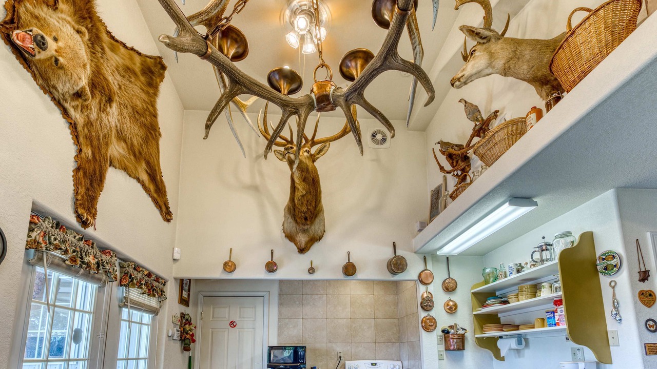 Photo of Kitchen in Barview