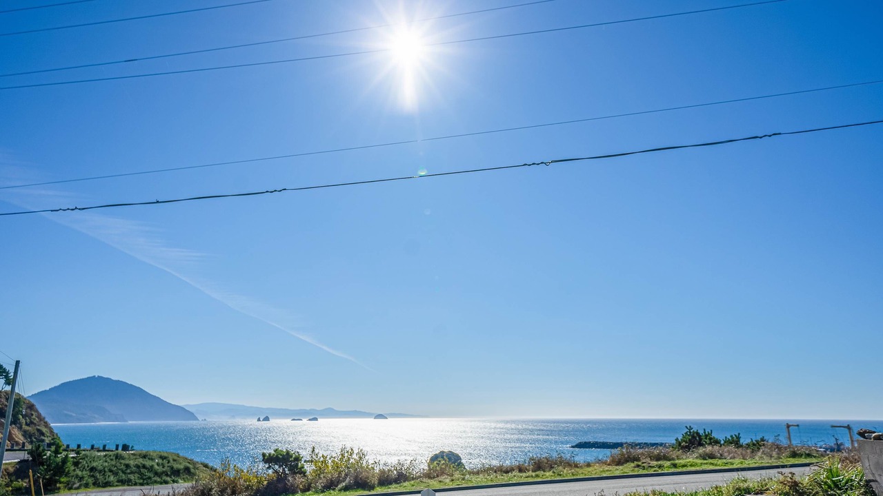 Photo of Others in Port Orford