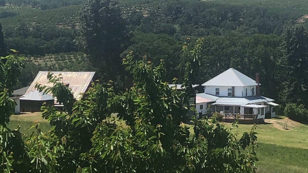 Photo of Outdoor in Mosier