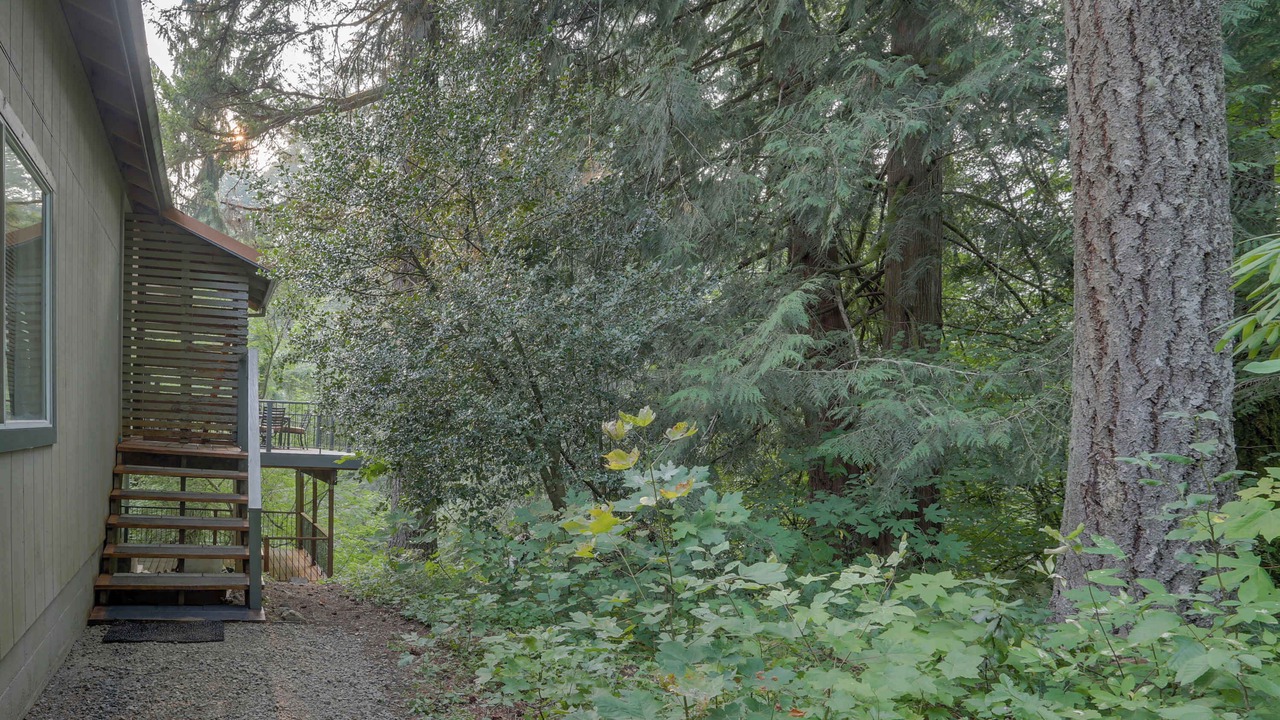 Photo of Outdoor in Rhododendron