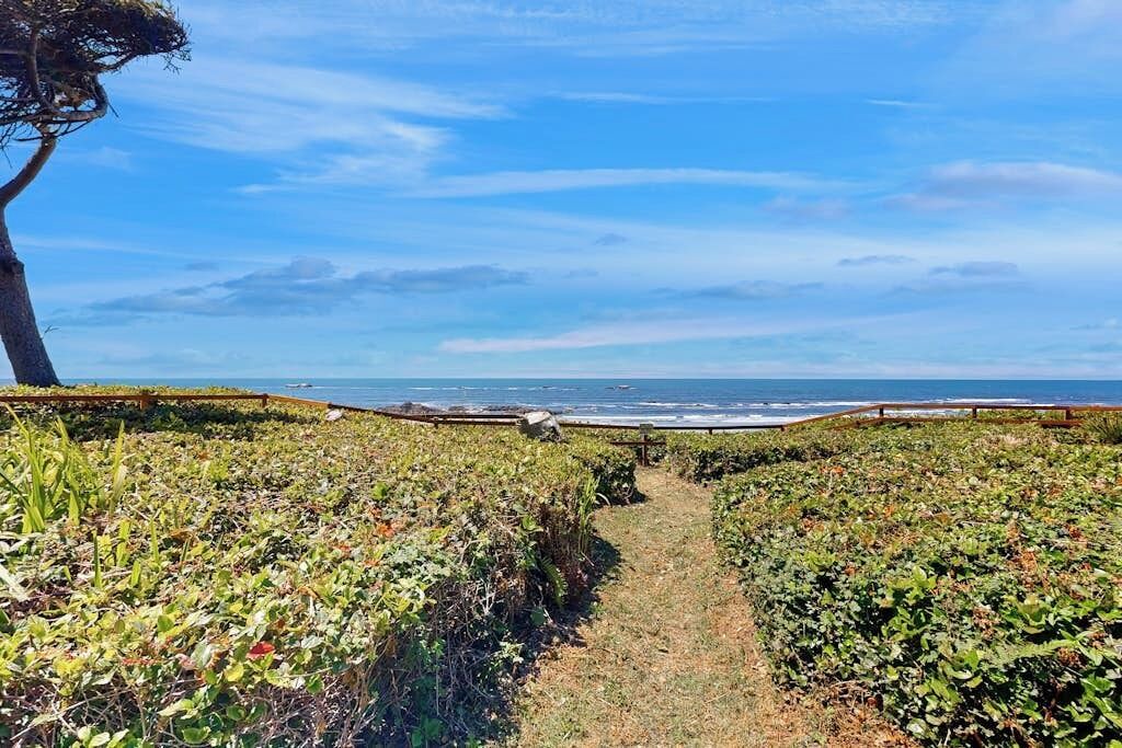 Photo of Others in Seal Rock