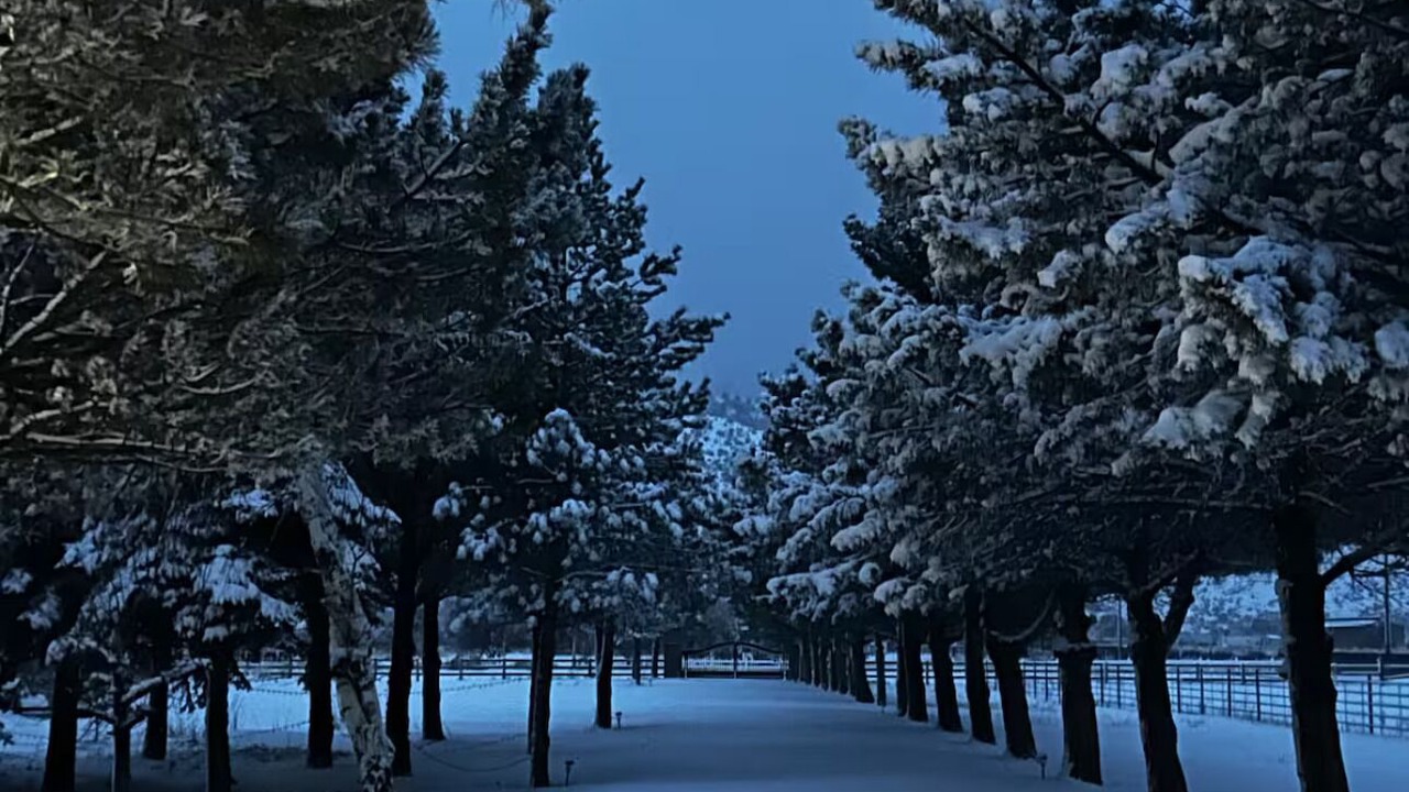 Photo of Others in Cedar City