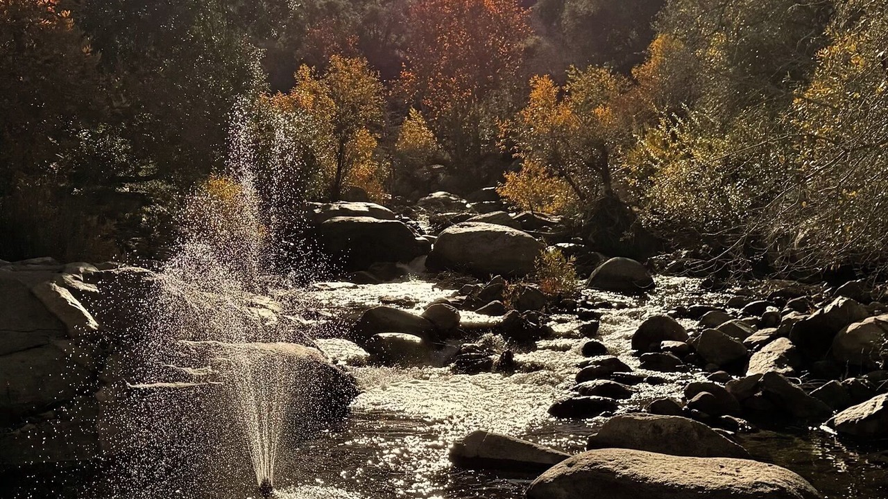 Photo of Others in Three Rivers