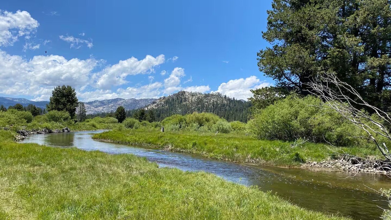 Photo of Others in Pioneer Trail