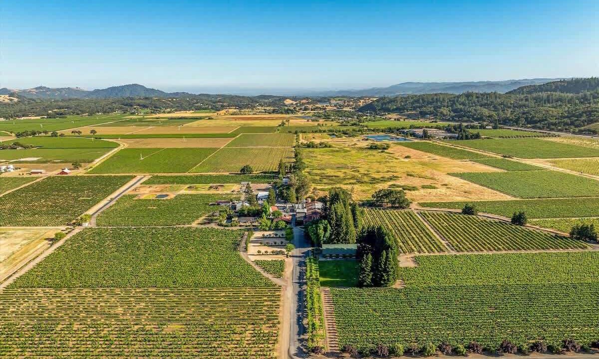 Photo of Others in Geyserville