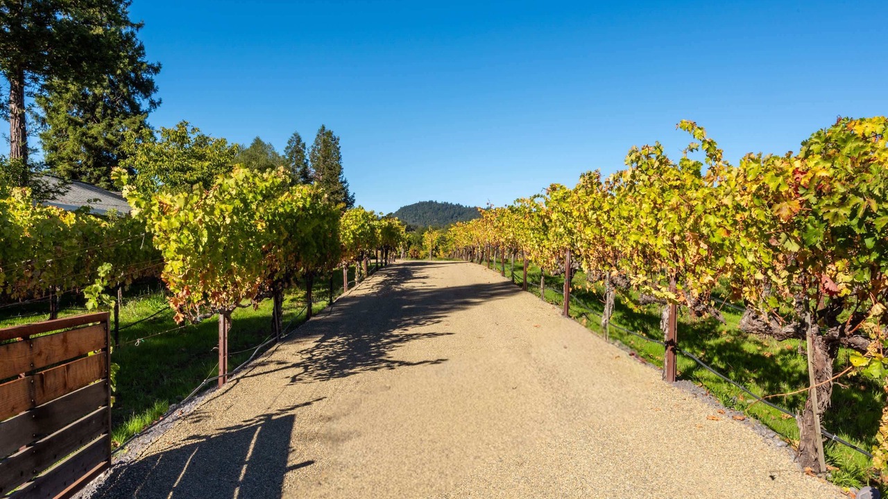 Photo of Others in Healdsburg