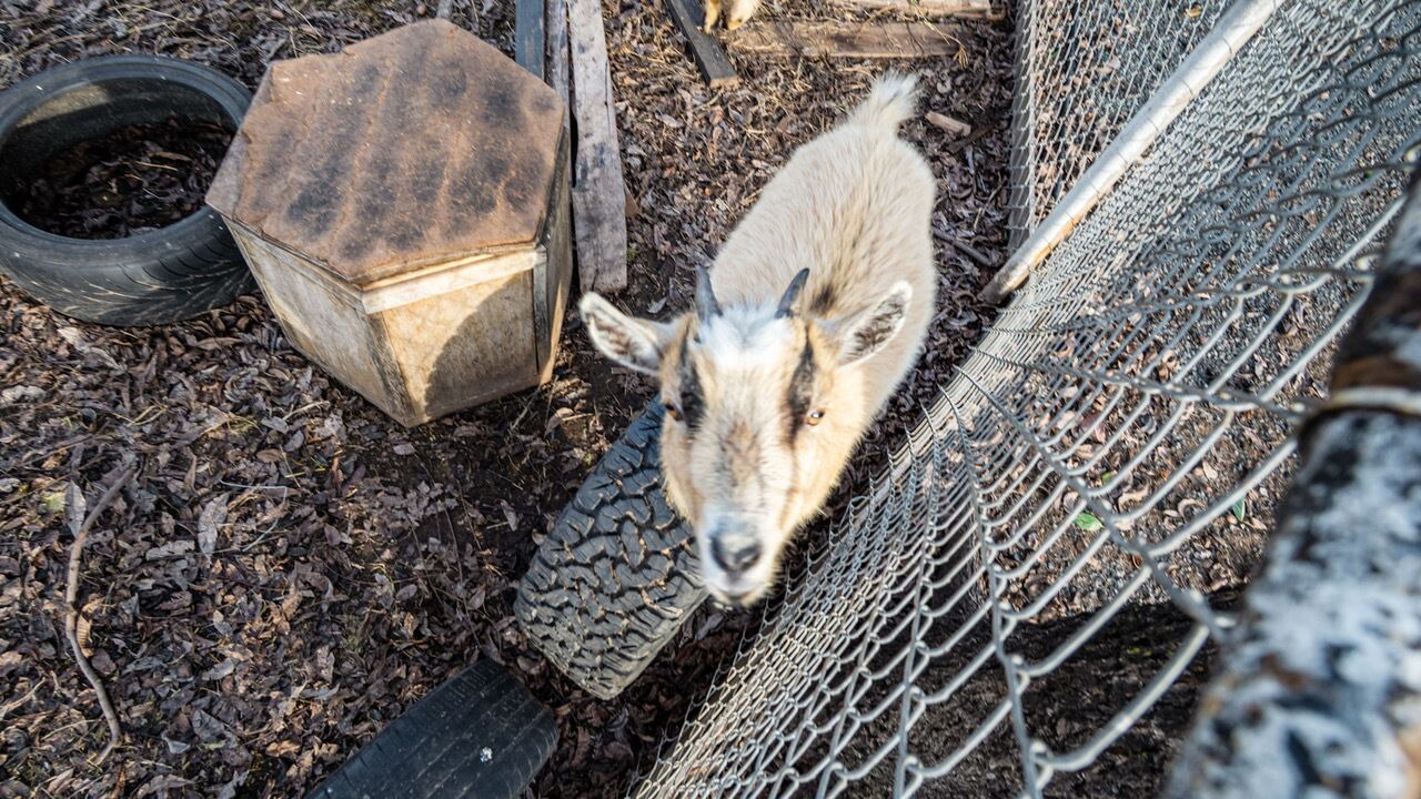 Photo of Others in Porterville