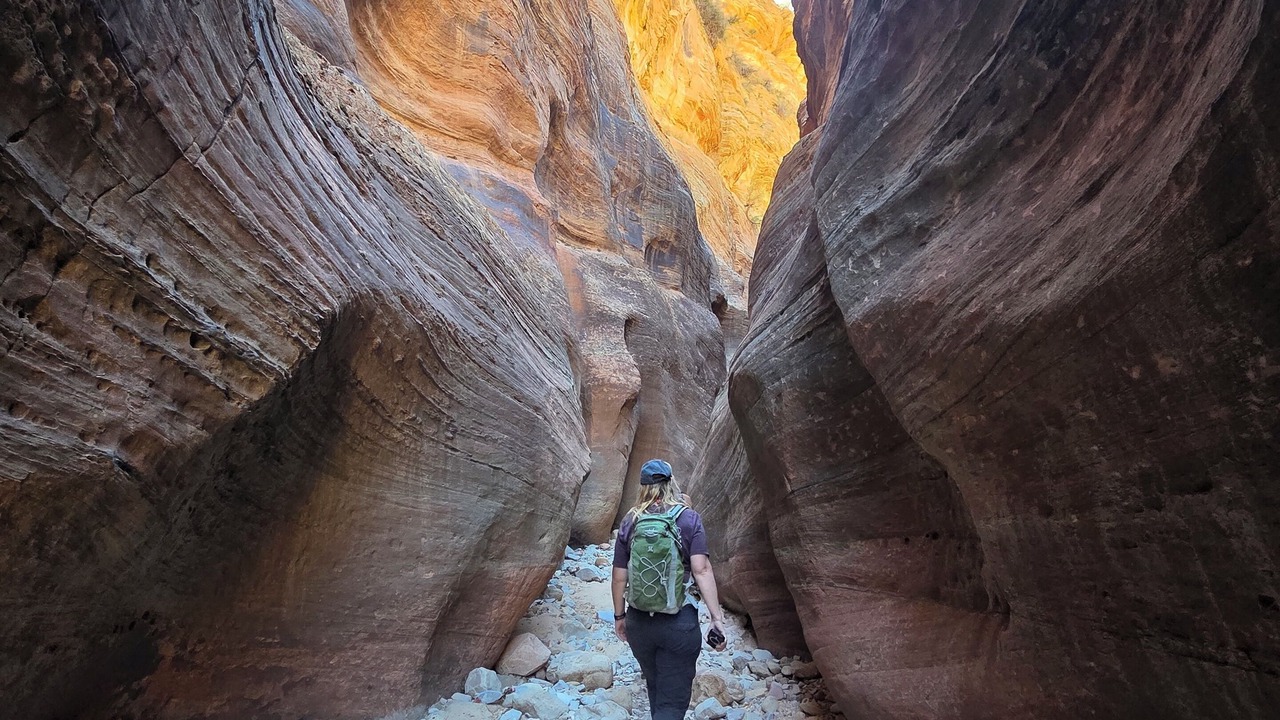 Photo of Others in Zion National Park East Entrance