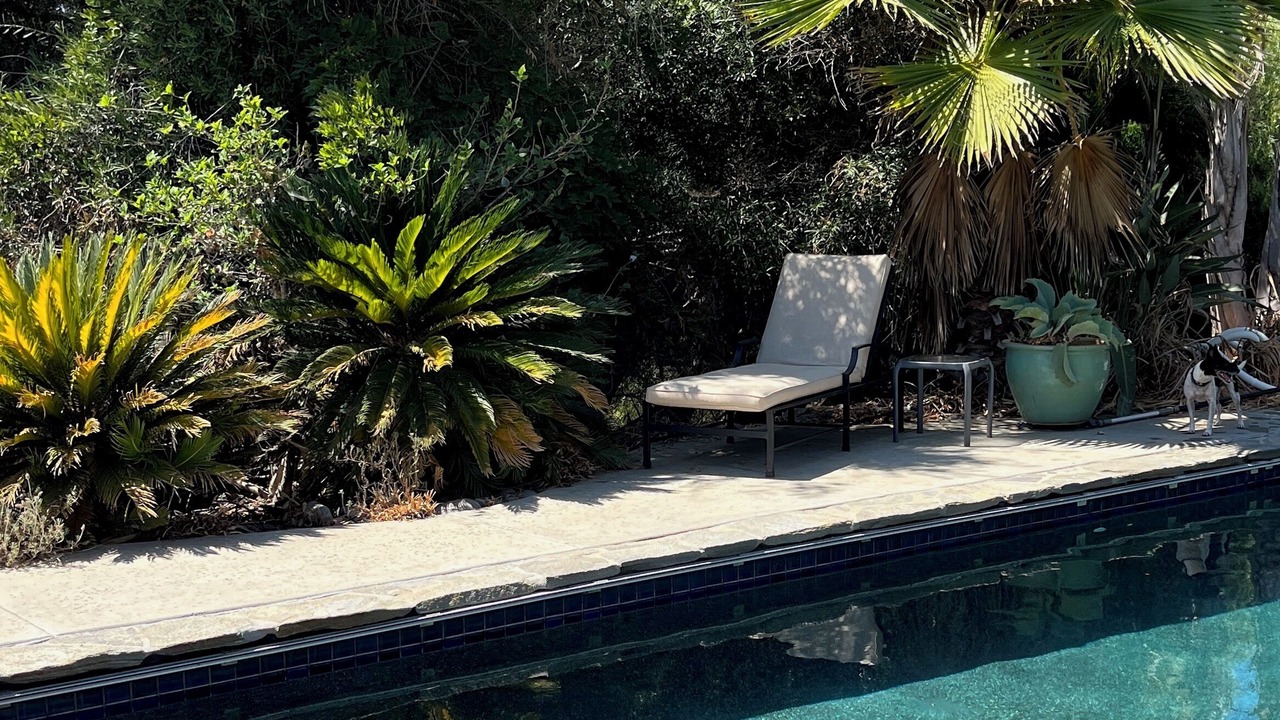 Photo of Outdoor in Del Dios