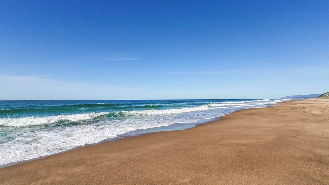 Photo of Others in Gleneden Beach