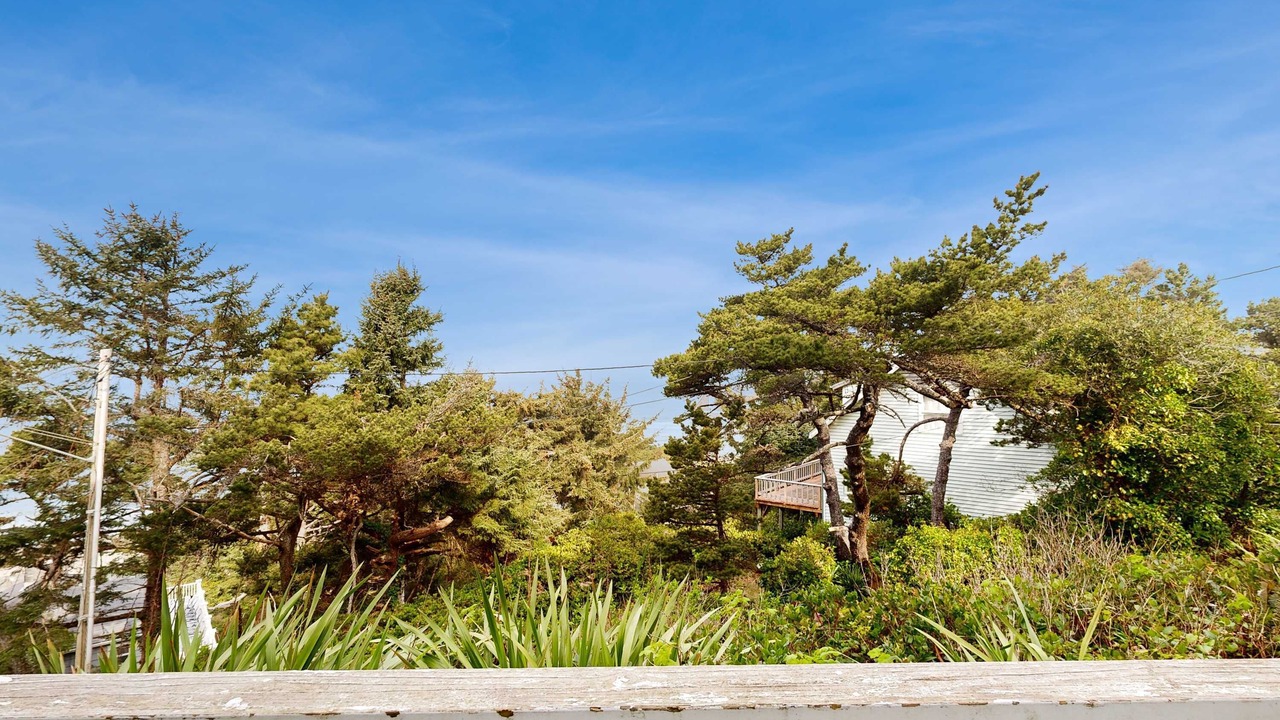 Photo of Outdoor in Lincoln City
