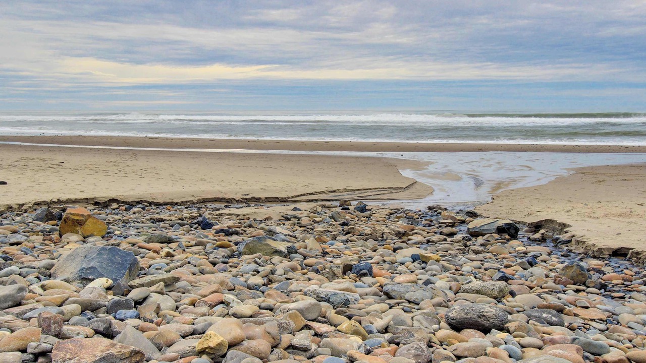 Photo of Others in Lincoln City