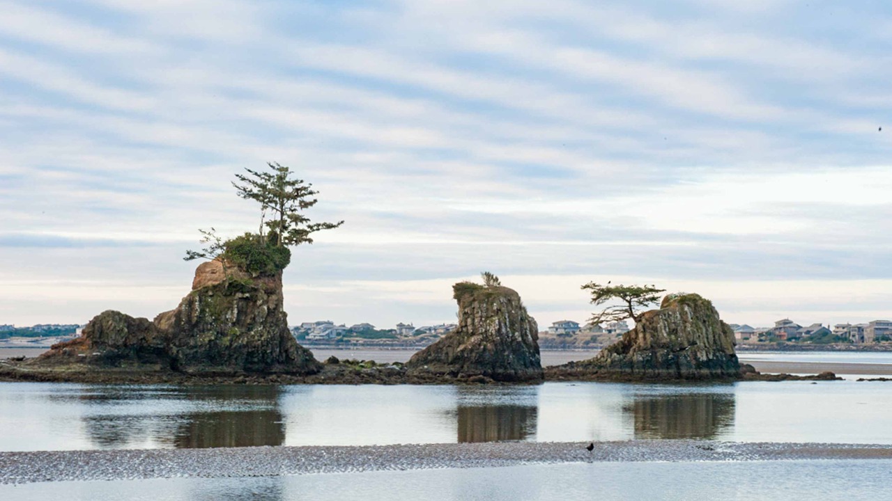 Photo of Others in Lincoln City