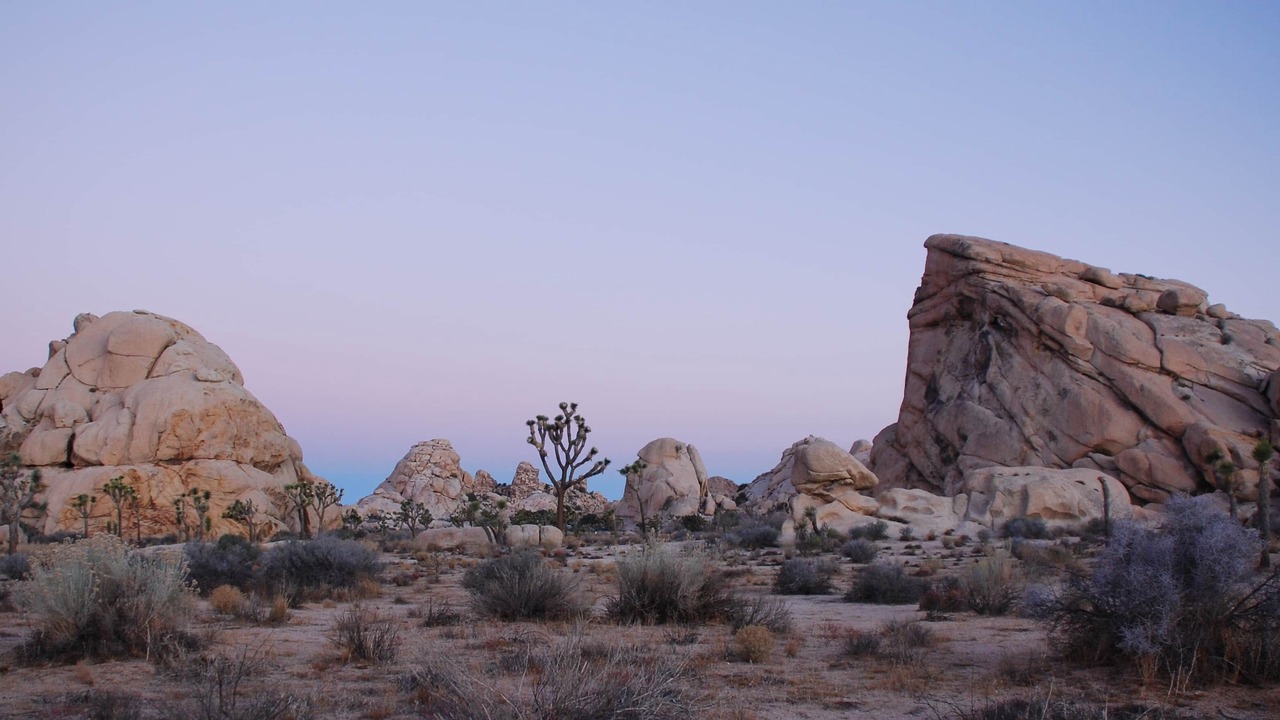Photo of Others in Desert Hot Springs
