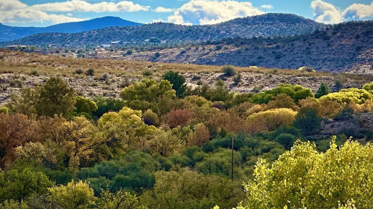 Photo of Others in Rimrock