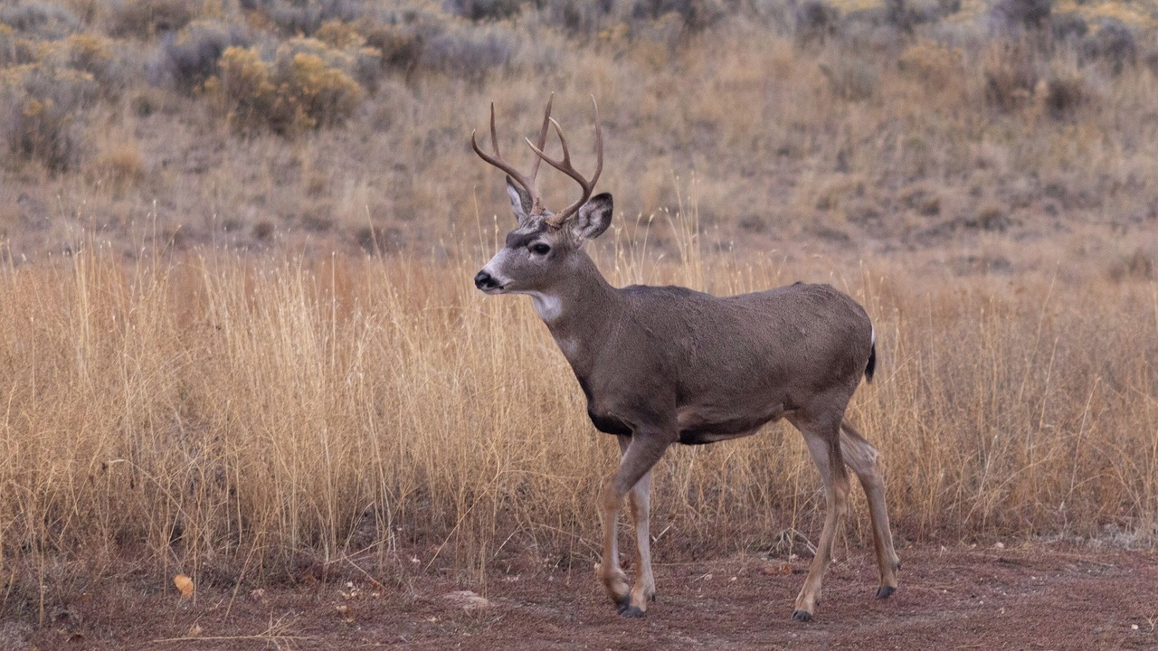 Photo of Others in Downtown Klamath Falls