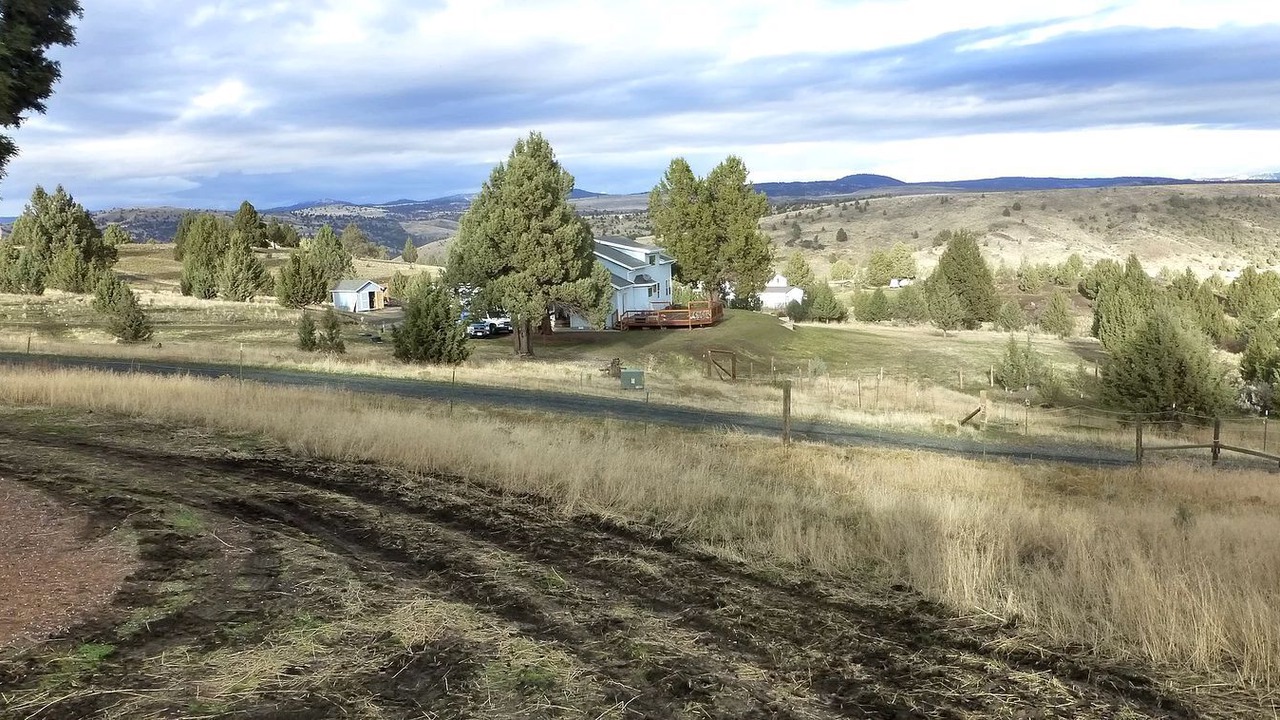 Photo of Others in John Day