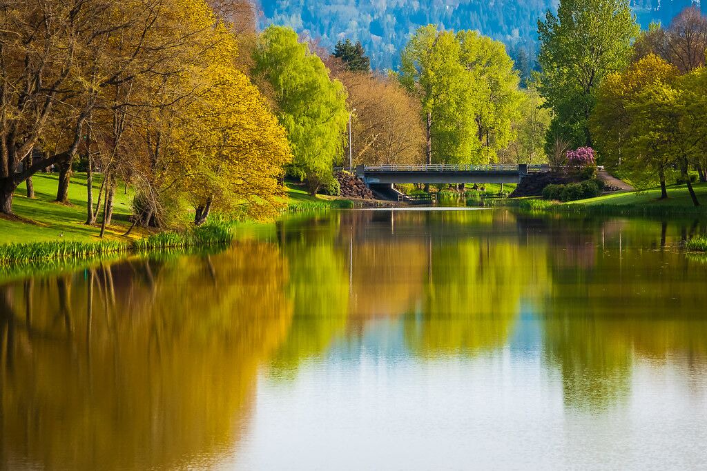Photo of Outdoor in Longview