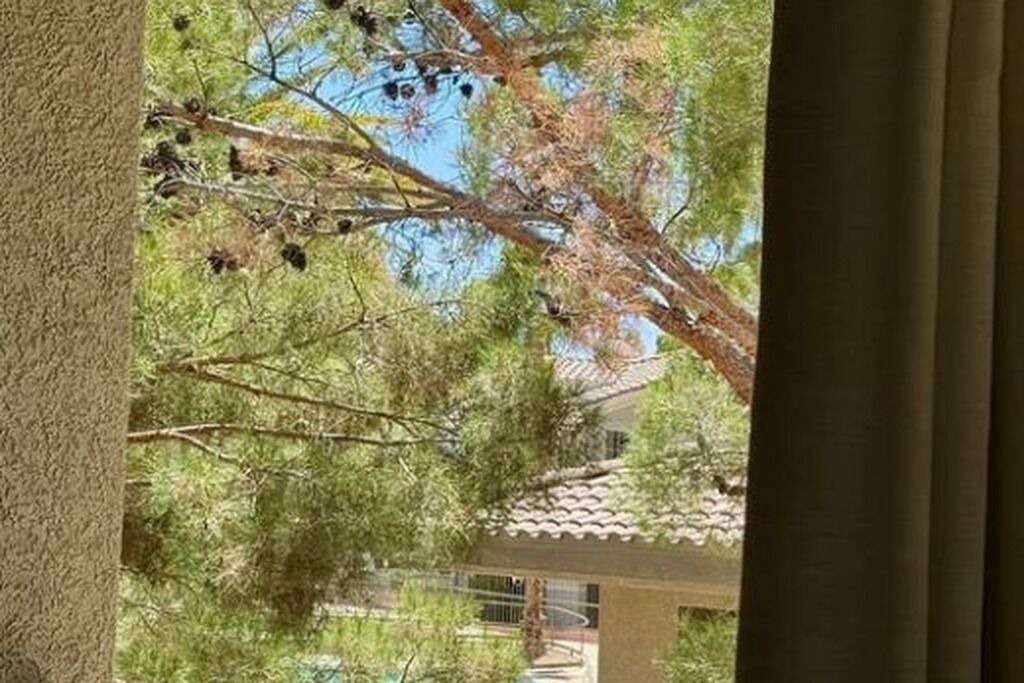 Photo of Others in Rhodes Ranch
