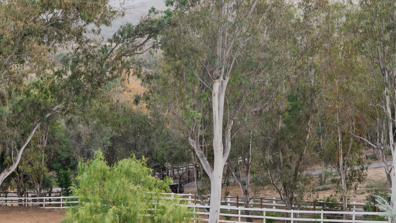 Photo of Others in Escondido
