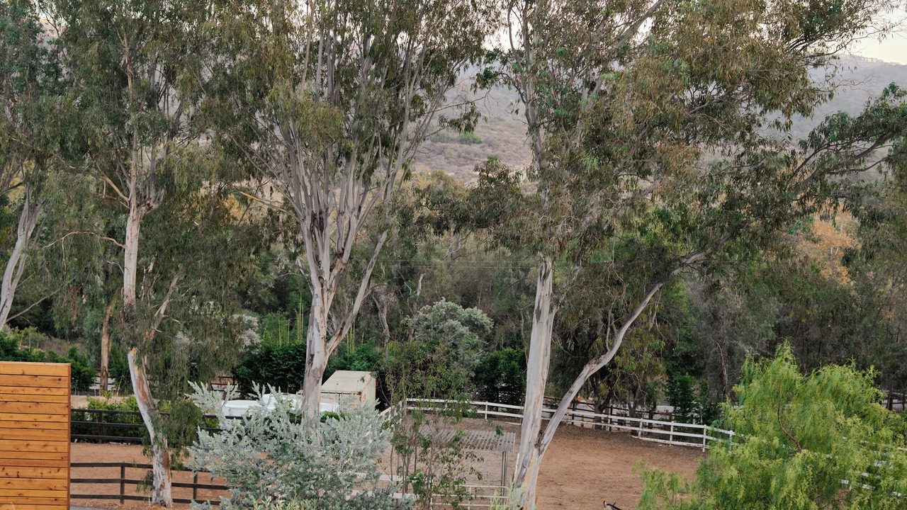 Photo of Outdoor in Escondido