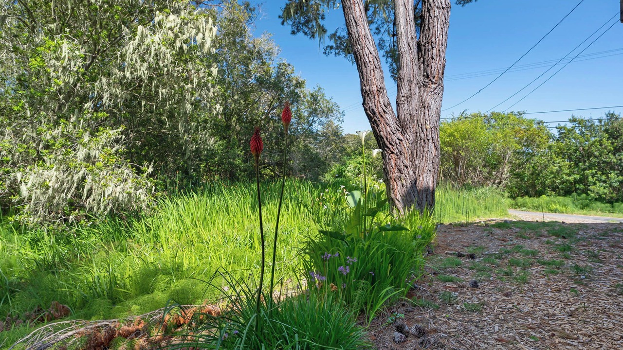 Photo of Outdoor in Bodega Bay