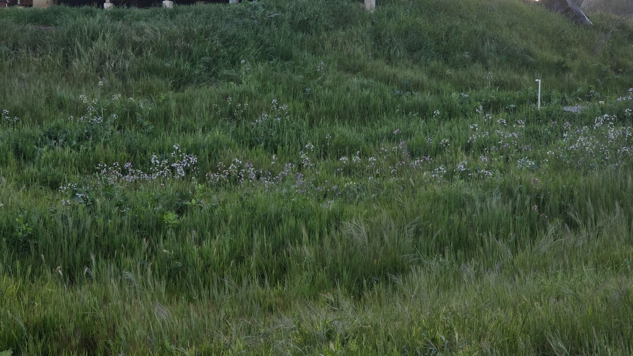 Photo of Outdoor in Fallbrook