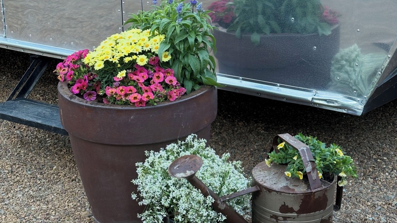 Photo of Outdoor in Downtown Flagstaff