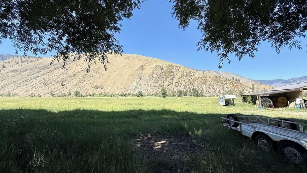 Photo of Outdoor in Cobalt