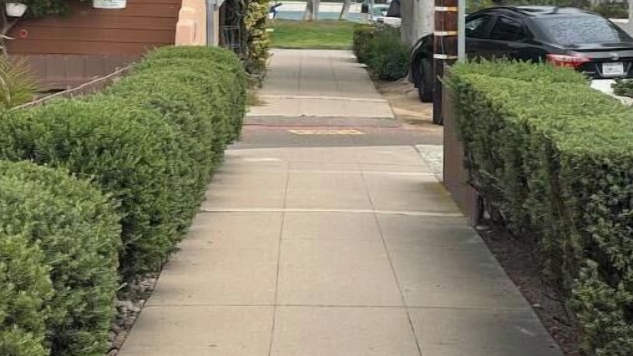 Photo of Outdoor in Mission Beach