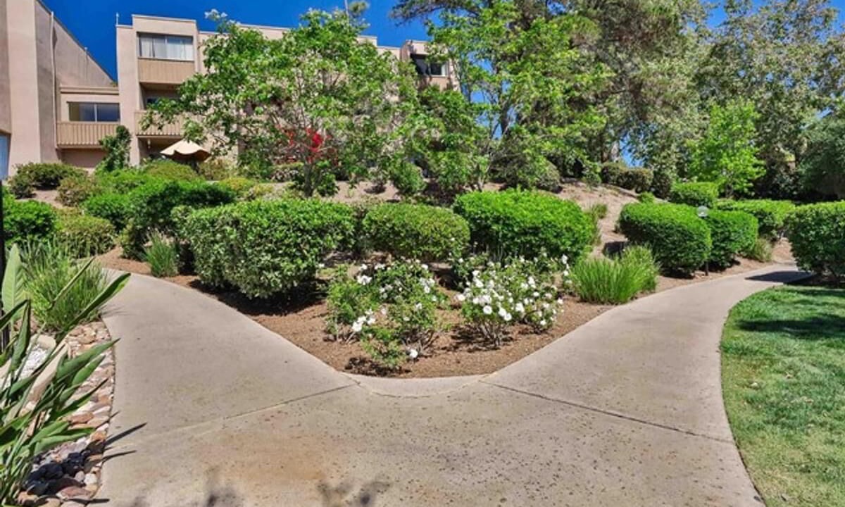 Photo of Outdoor in San Carlos
