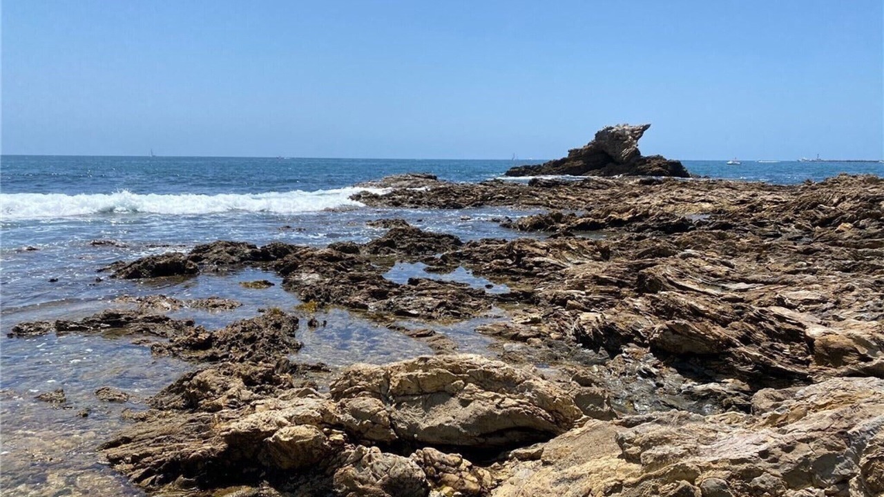 Photo of Others in Corona del Mar