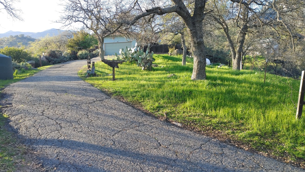 Photo of Outdoor in Three Rivers