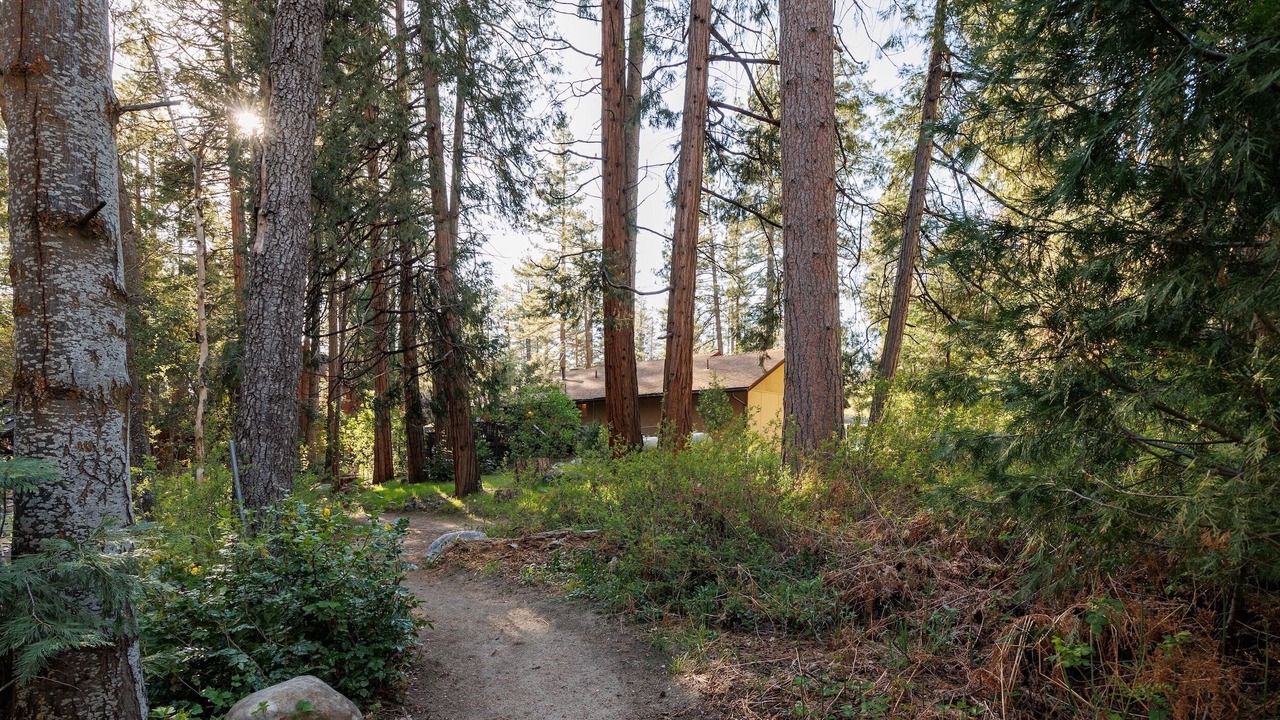 Photo of Outdoor in Idyllwild