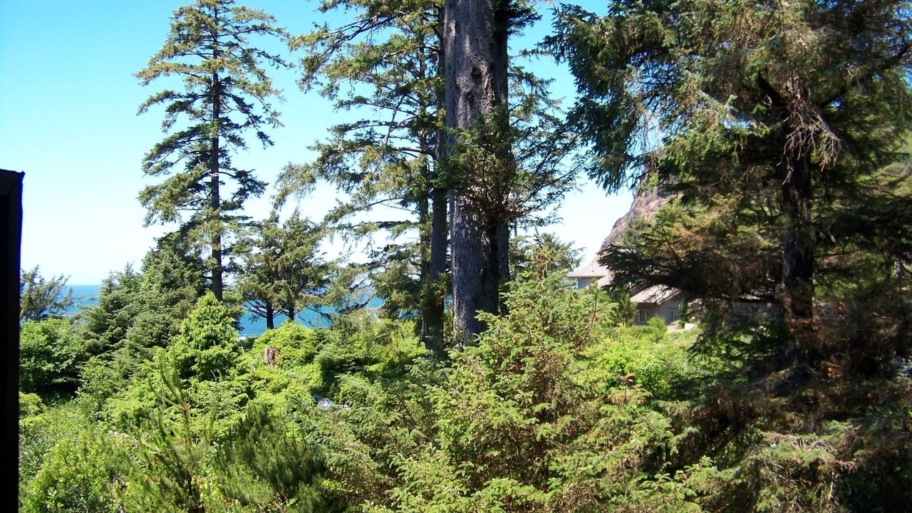 Photo of Others in Otter Rock