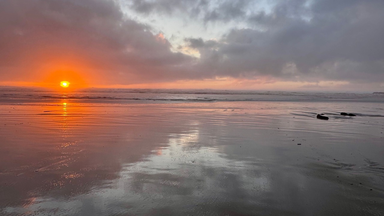 Photo of Others in Yachats