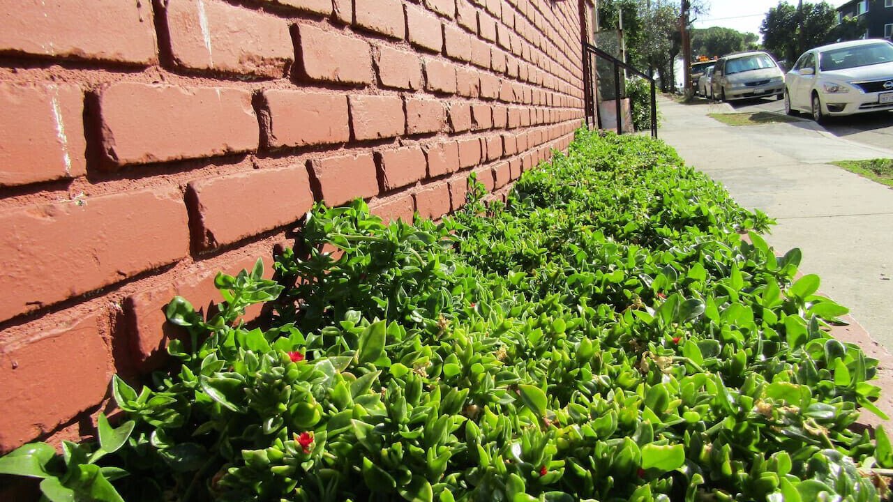 Photo of Outdoor in Boyle Heights
