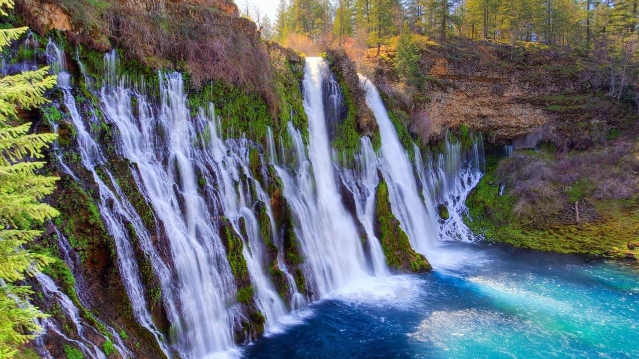 Photo of Others in Redding