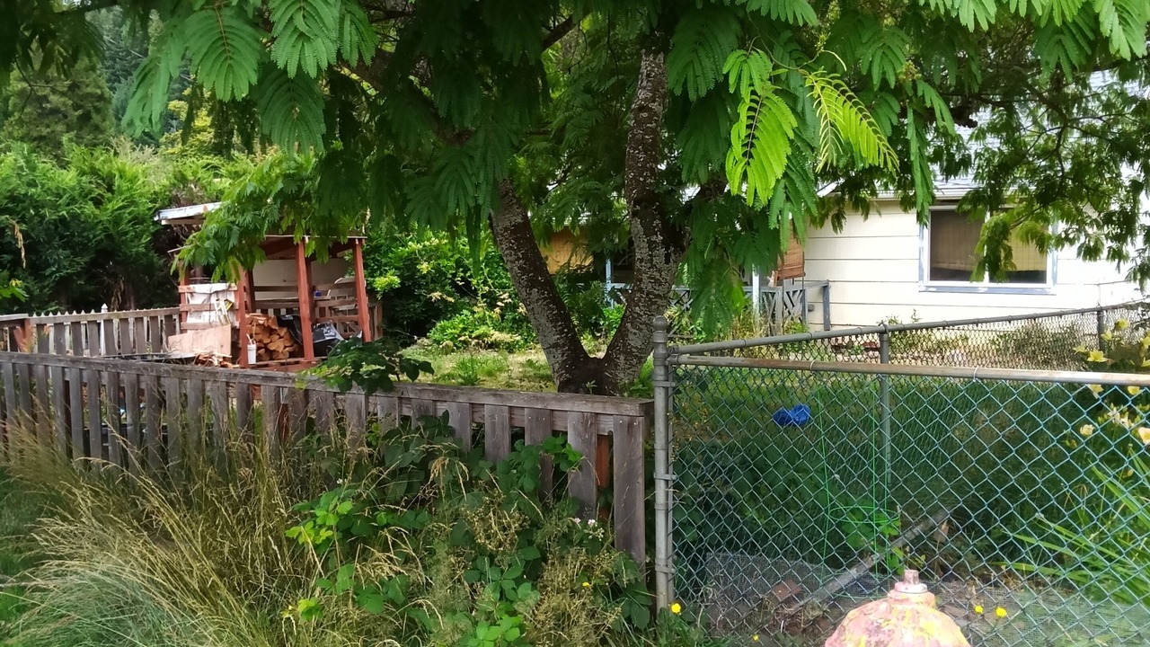 Photo of Outdoor in Oakridge